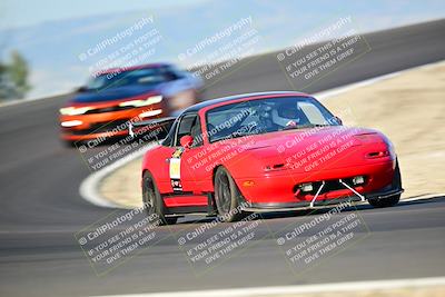 media/Mar-01-2025-Turn8 Trackdays (Sat) [[3bac13d0ad]]/Inter 3/Session 1 (Turns 2 and 3)/
